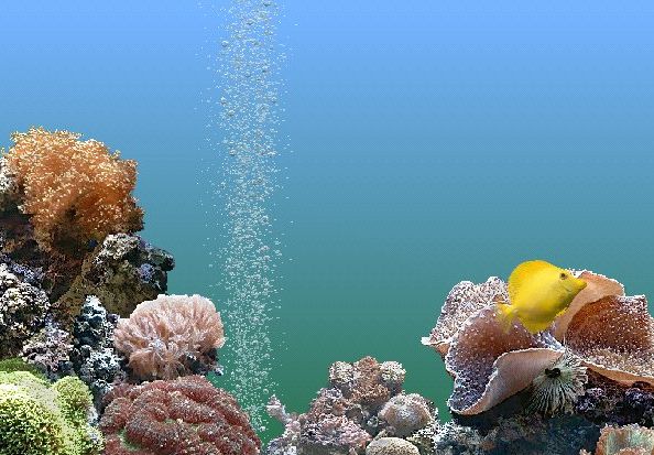 SereneScreen Aquarium 1.1.2