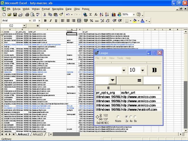 Screen Loupe 2000 5.3